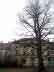 pic21.jpg